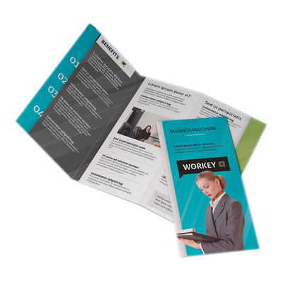 Buy A2 A3 A4 A5 A6 Folding Flyers / Manual / Pamphlets Trifold Brochure For Business online manufacture