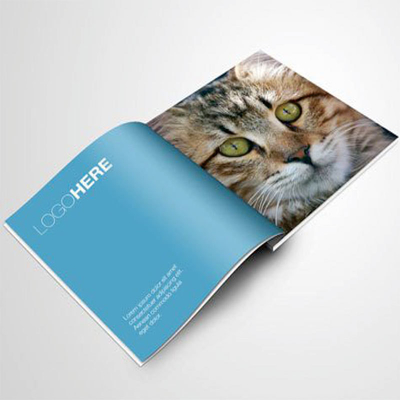 Buy Manga Custom Coloring Book Printing Services Children's Books Print on Demand Brochure online manufacture